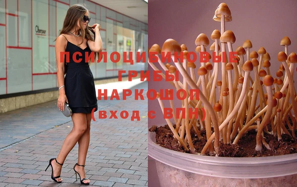 бутират Баксан