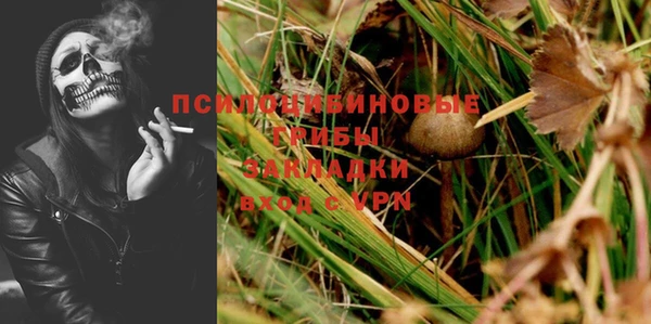 apvp Балахна